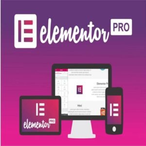 Elementor Pro