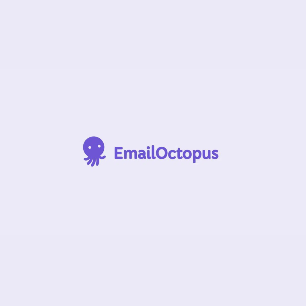 Rocket Genius Gravity Forms Email Octopus Addon Rocket Genius Gravity Forms Email Octopus Addon - Image 1